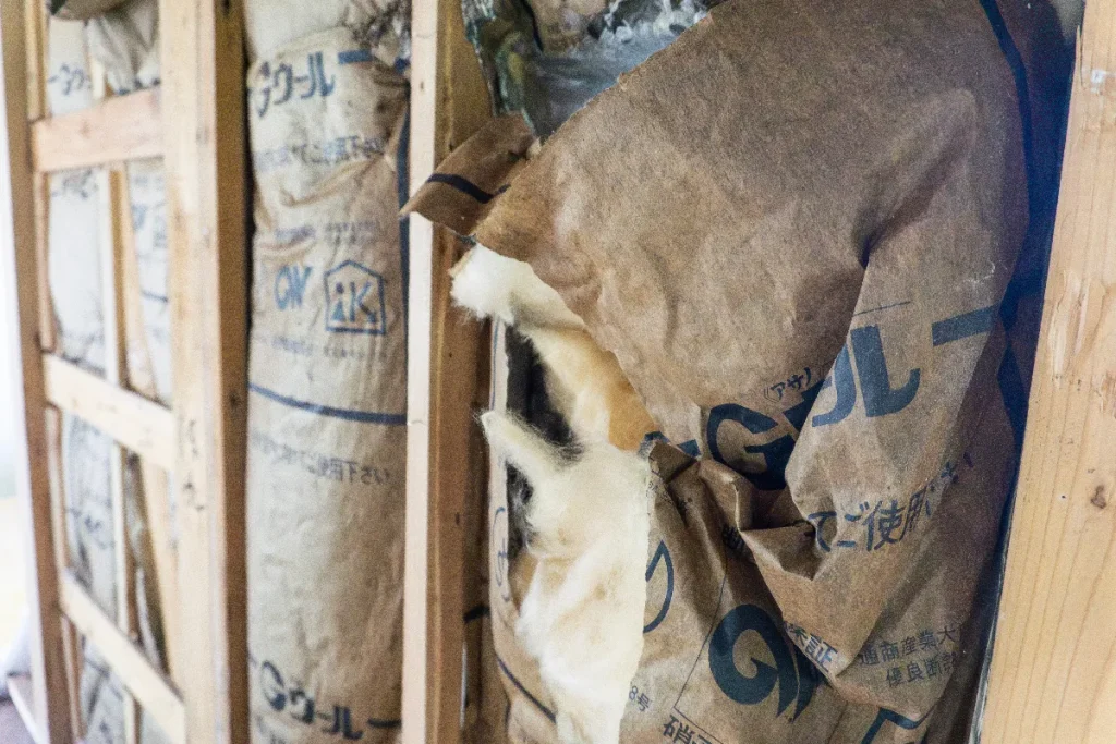 asbestos-demolition-site