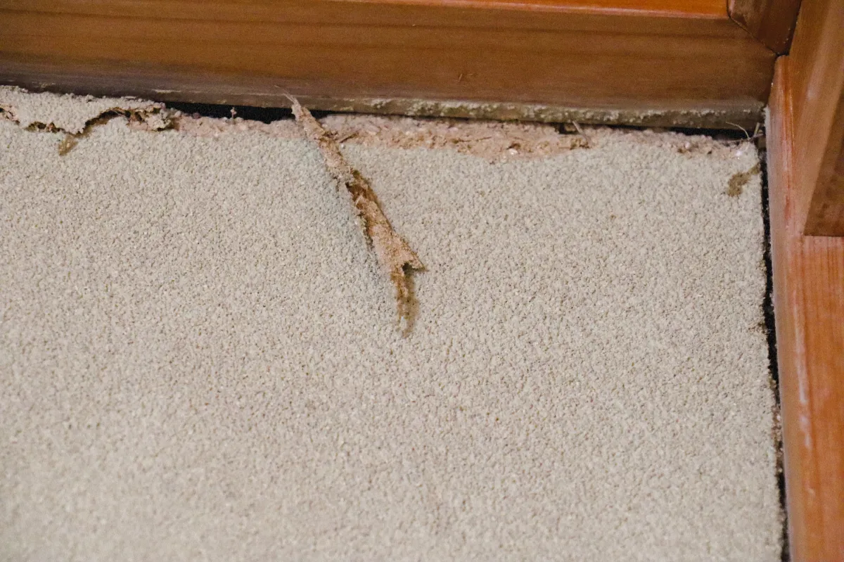 地震で痛んだ土壁 