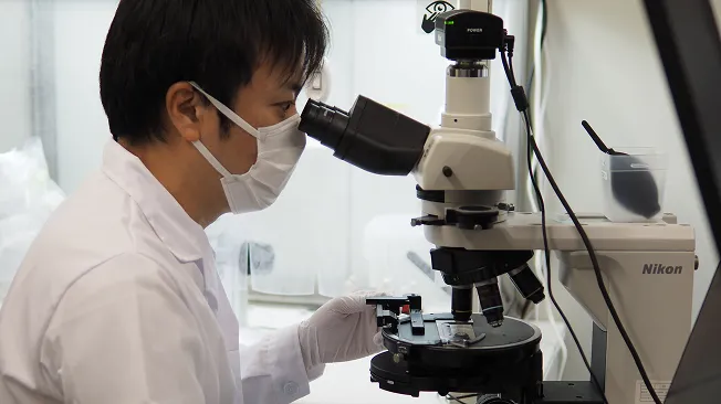 アルフレッドの専門スタッフが、アスベストのサンプルを分析している