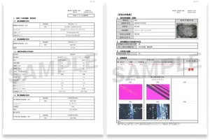 厚生労働省書式の報告書